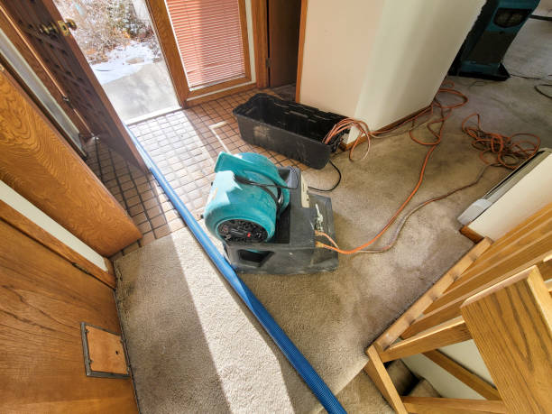 Water damage restoration mold remediation in South Lebanon, OH