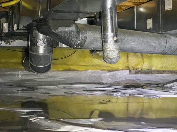 Best Water damage cleanup near me  in South Lebanon, OH